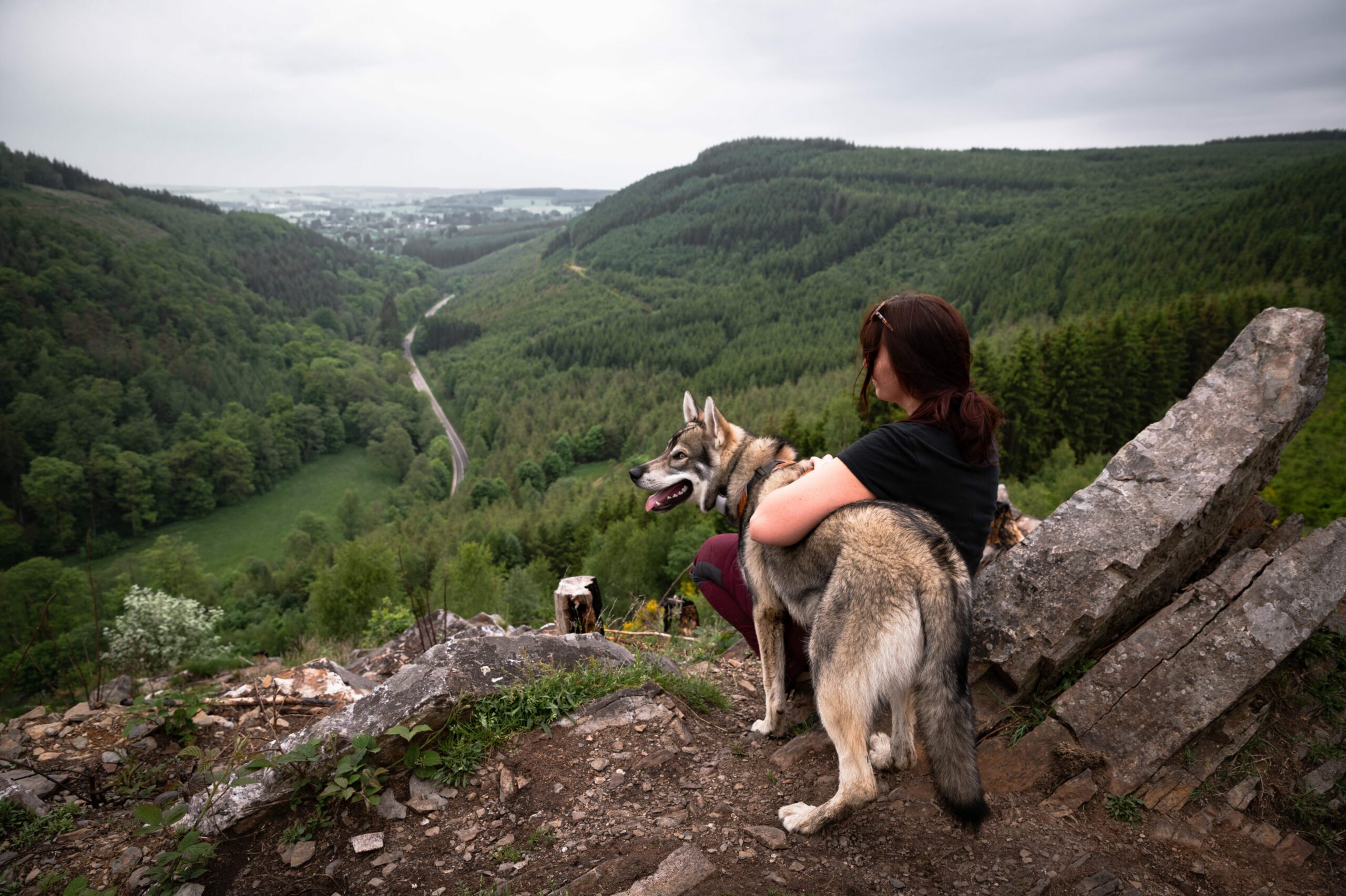 You are currently viewing Toutou-tourisme – où s’évader avec son chien en Wallonie